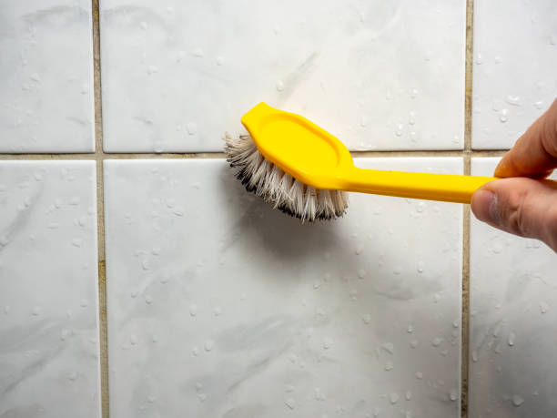 Best DIY Mold Remediation Support Services in Tulia, TX