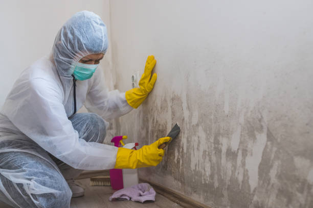 Best Mold Remediation for Specific Building Types in Tulia, TX