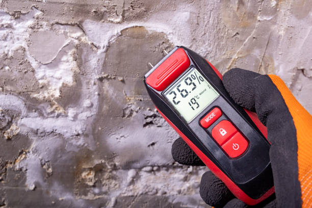Best Bathroom Mold Remediation in Tulia, TX