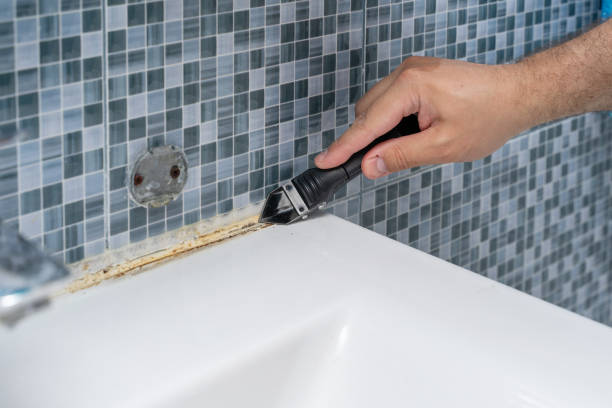 Best Post-Flood Mold Remediation in Tulia, TX